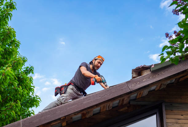 Best Wood Shake Roofing  in Wood Dale, IL
