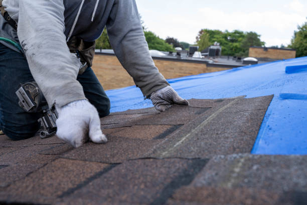 Fast & Reliable Emergency Roof Repairs in Wood Dale, IL