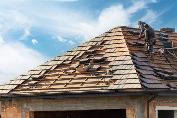 Best Roof Coating and Sealing  in Wood Dale, IL